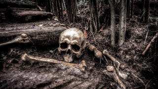 These Are the Five States Where Adulthood Has Gotten Deadlier